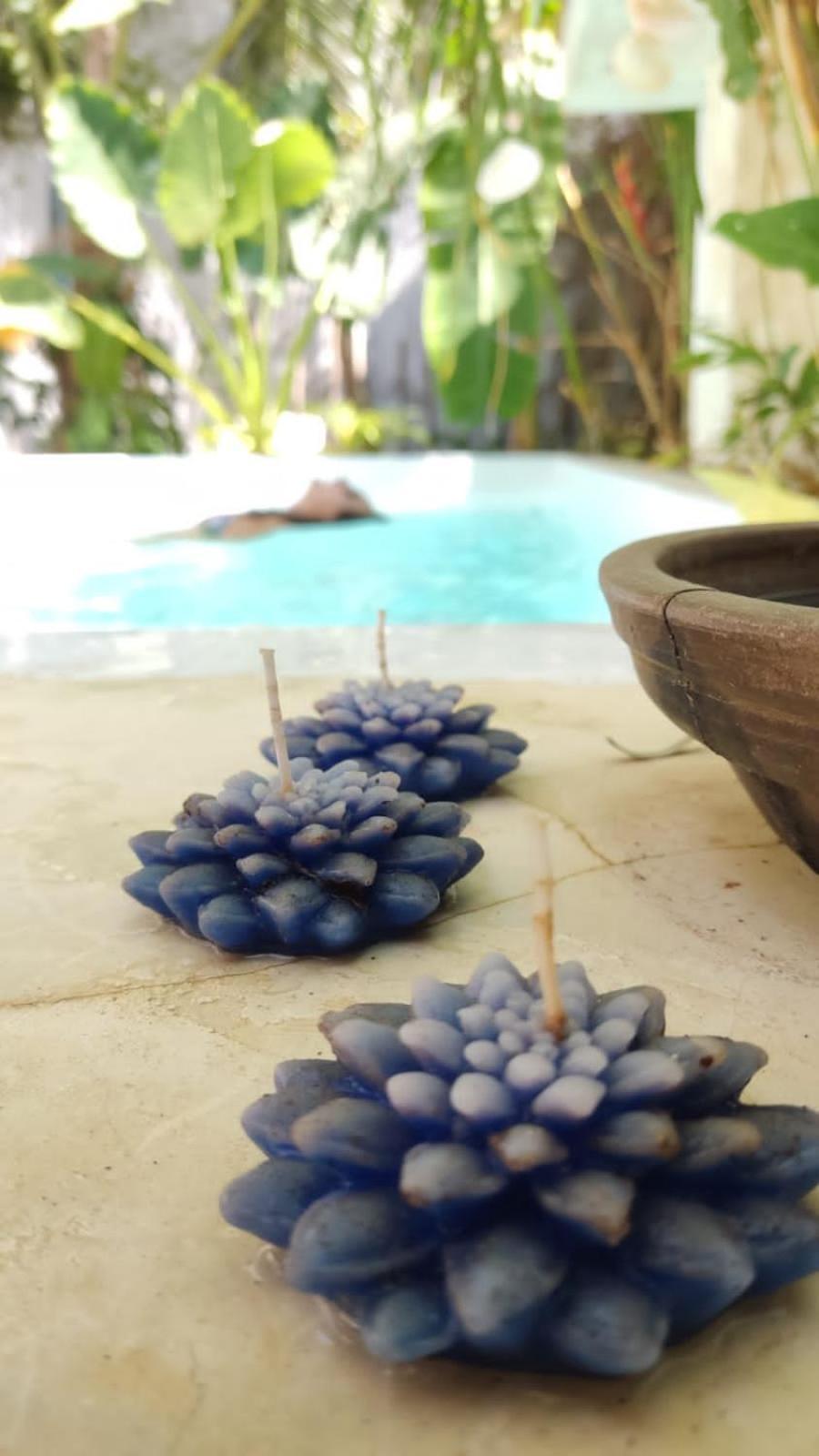 Chale Da Sereia Apart-Hotel Com Cozina Piscina Oasis No Centro De Jericoacoara 외부 사진