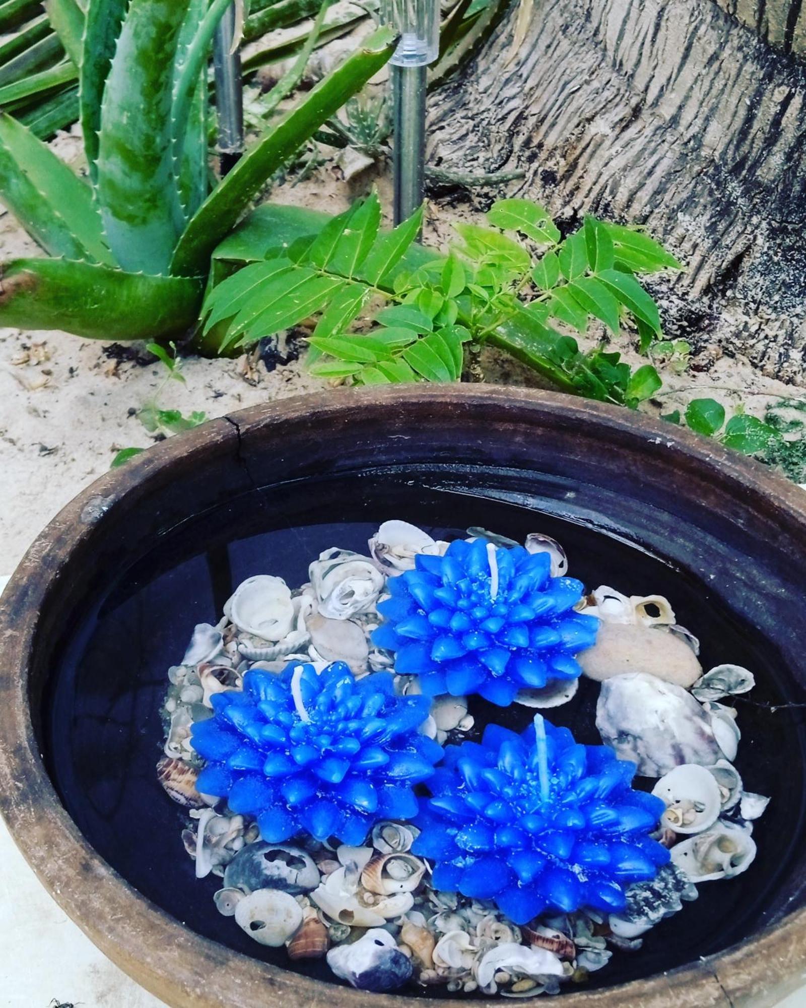 Chale Da Sereia Apart-Hotel Com Cozina Piscina Oasis No Centro De Jericoacoara 외부 사진